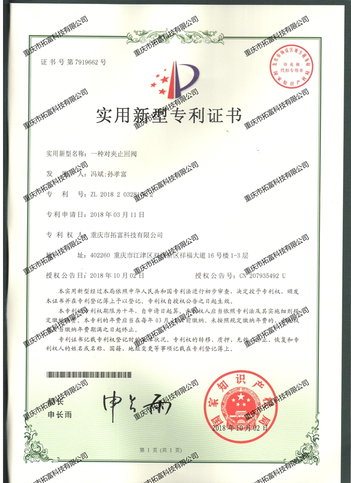 一种对夹止回阀